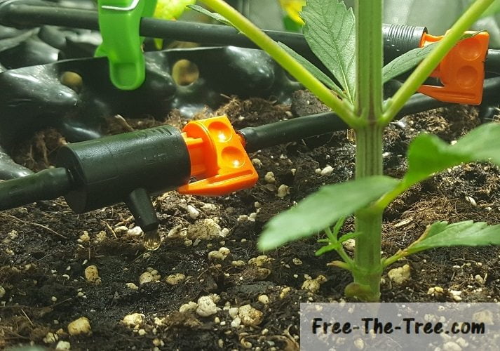 DIY | Making an Automatic Drip Watering System Easy and Cheap