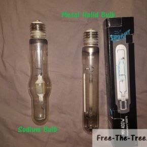 Metal Halid vs High Pressure Bulb