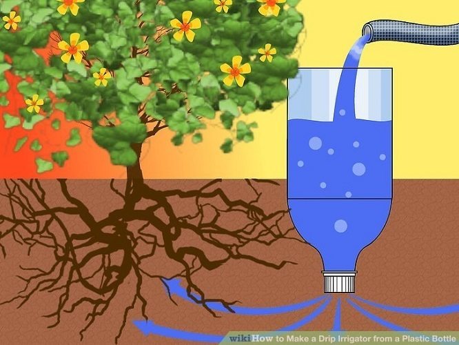 Watering plants with slow drip irrigation system