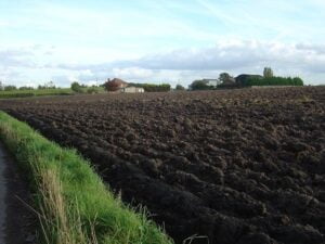 loamy soil in a farm of Lancashire