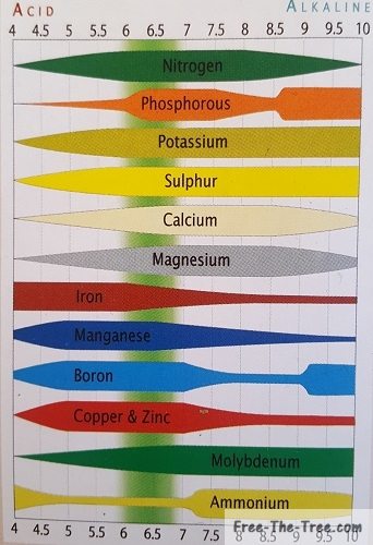 Cannabis Nutrients – Macro and Micro Nutrients