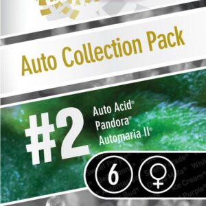 thumbnail Autoflowering Collection pack #2 Seeds