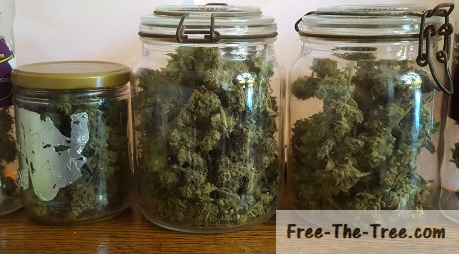 6 Tips How to Cure Weed by Cannabis Stacks thumbnail