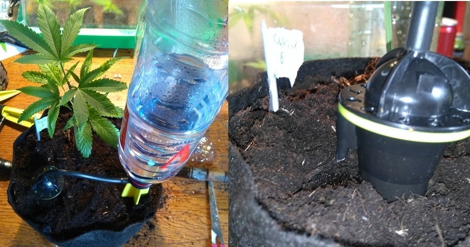 Drip Watering System For Weed Make Your Irrigation System For Cheap,Kitchen Sink Plumbing