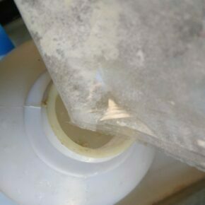 Pouring nematode "powder" into water sprayer