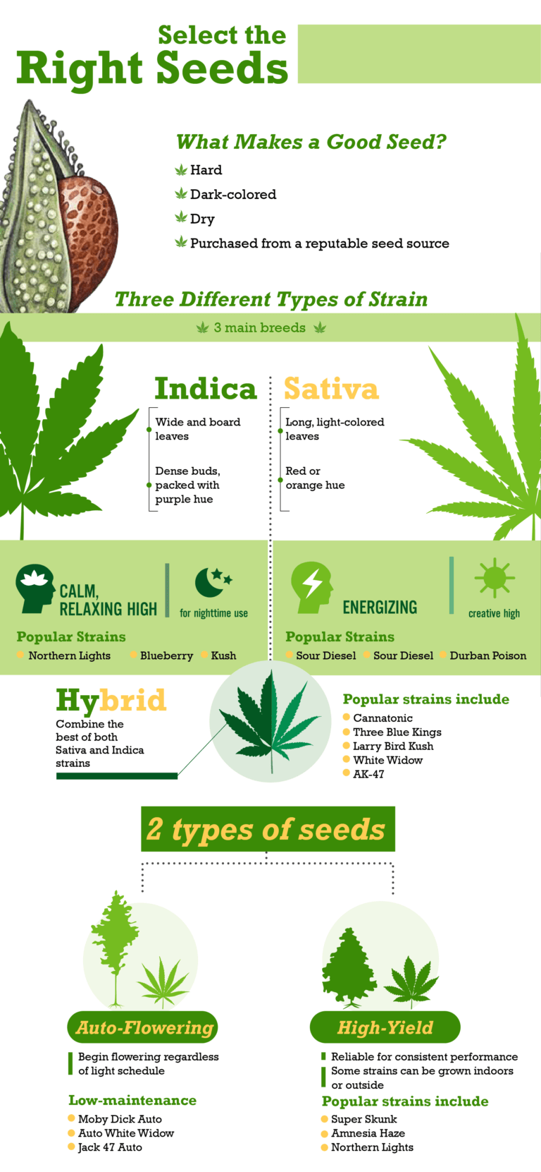 infographic on how to select the right seeds
