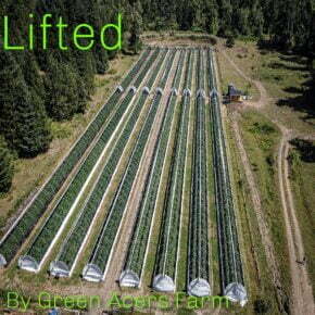 Lifted's cannabis farm viewed from the sky