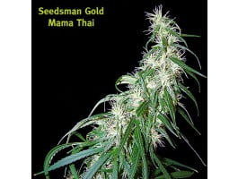 thumbnail Mama Thai Seeds