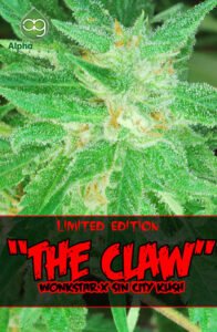 thumbnail The Claw Seeds