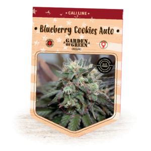 thumbnail Blueberry Cookies Autoflowering Seeds