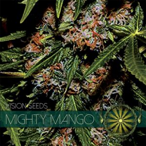 thumbnail Mighty Mango Bud Feminized Seeds