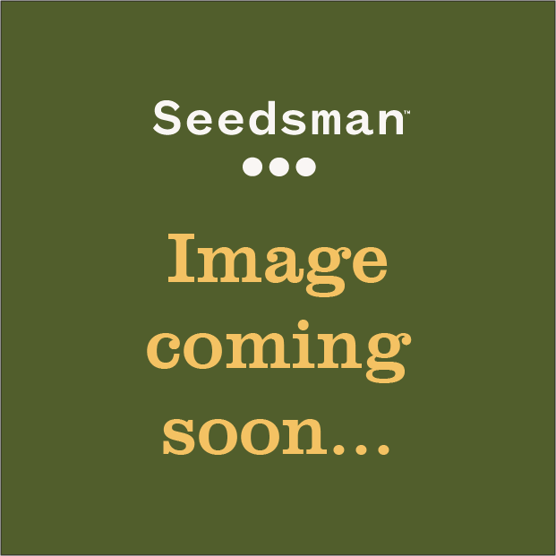 thumbnail Hulkmania Seeds