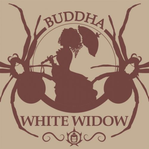 thumbnail Buddha Classics White Widow Feminized Seeds