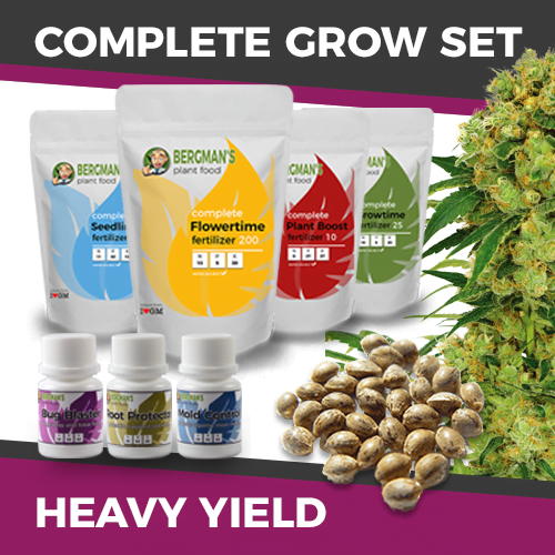 thumbnail Grow Kit-High Yield Seeds