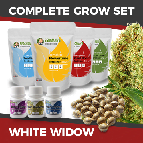 thumbnail Grow Kit-White Widow Seeds