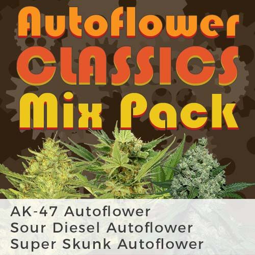 thumbnail Classics Mix Autoflowering Seeds