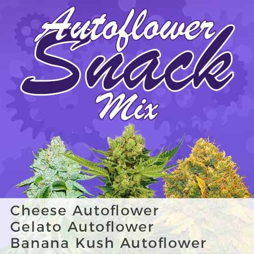 thumbnail Snack Mix Autoflowering Seeds