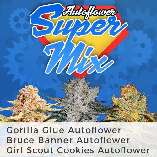 thumbnail Super Mix Autoflowering Seeds