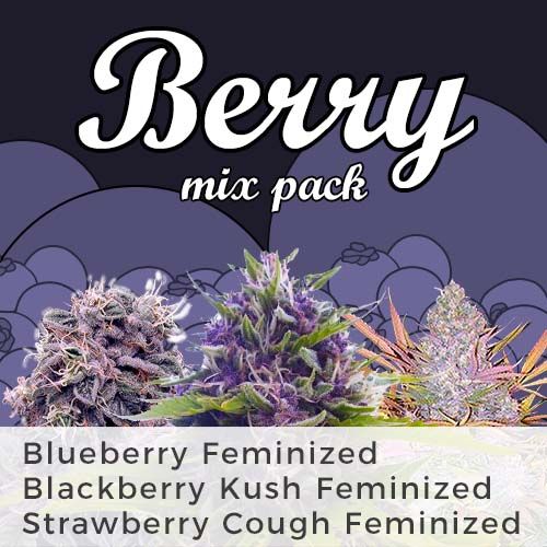 thumbnail Berry Mix Seeds