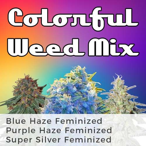 thumbnail Colorful Weed Mix Seeds
