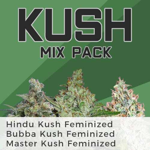 thumbnail Kush Mix Seeds