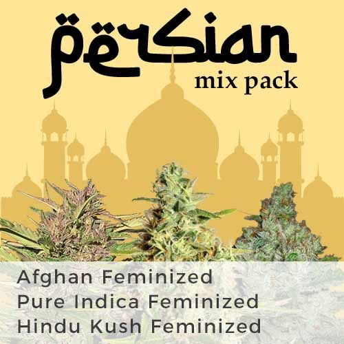 thumbnail Persian Mix Seeds
