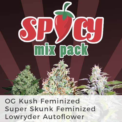 thumbnail Spicy Mix Seeds
