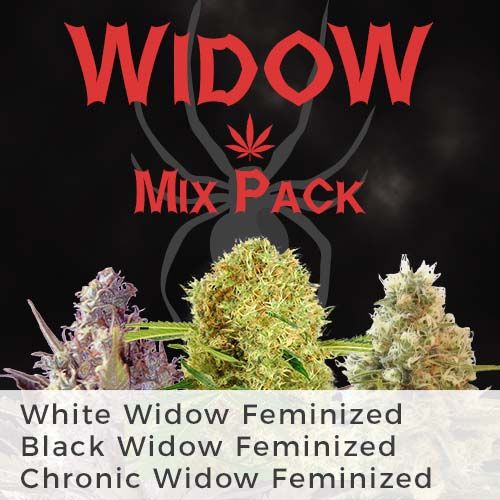 thumbnail Widow Mix Seeds