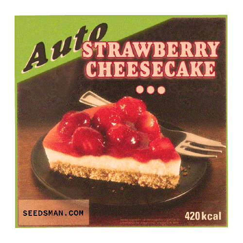 thumbnail Strawberry Cheesecake Autoflowering Seeds