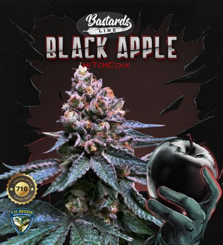 thumbnail Black Apple Hitchcock Feminized Seeds